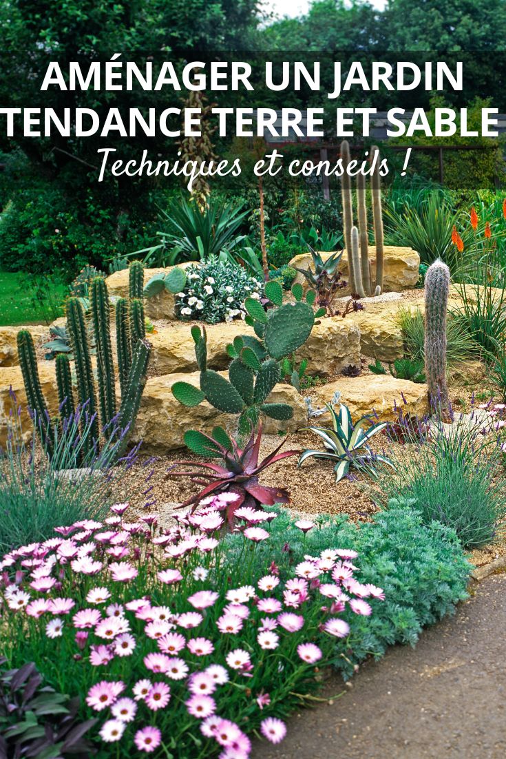 Soil and Sand: The Garden Trend Embracing Desert Plants