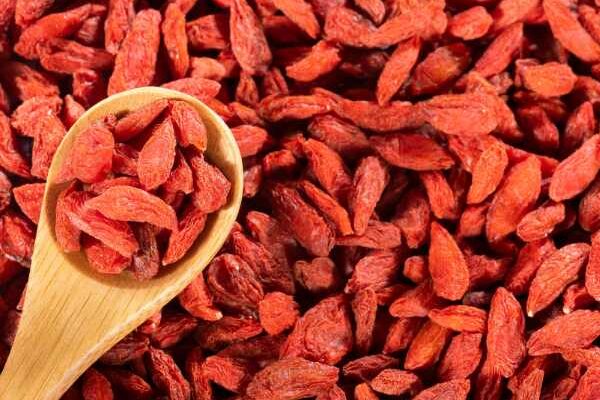 Harvest and store your goji berries: a treasure trove of vitamins within easy reach