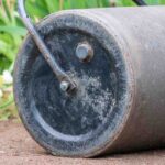 How and why to roll the lawn before sowing?