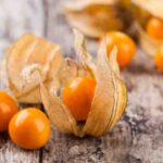 Physalis tea: an autumn-coloured infusion