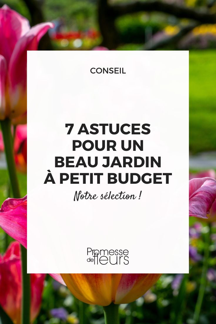 7 budget-friendly tips for a beautiful garden (2) Our ideas to enhance your garden without breaking the bank