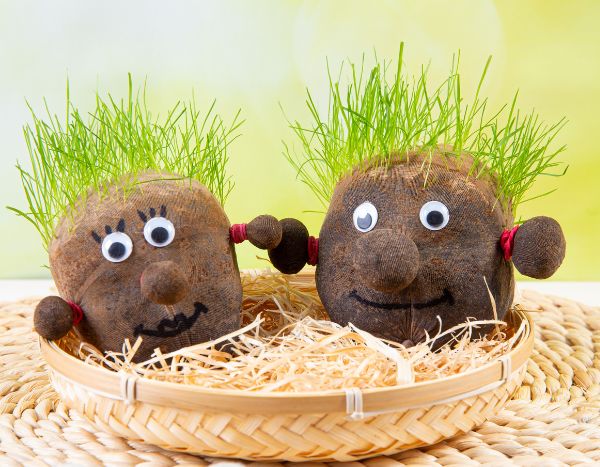 How to make a grass head: a fun DIY activity for children