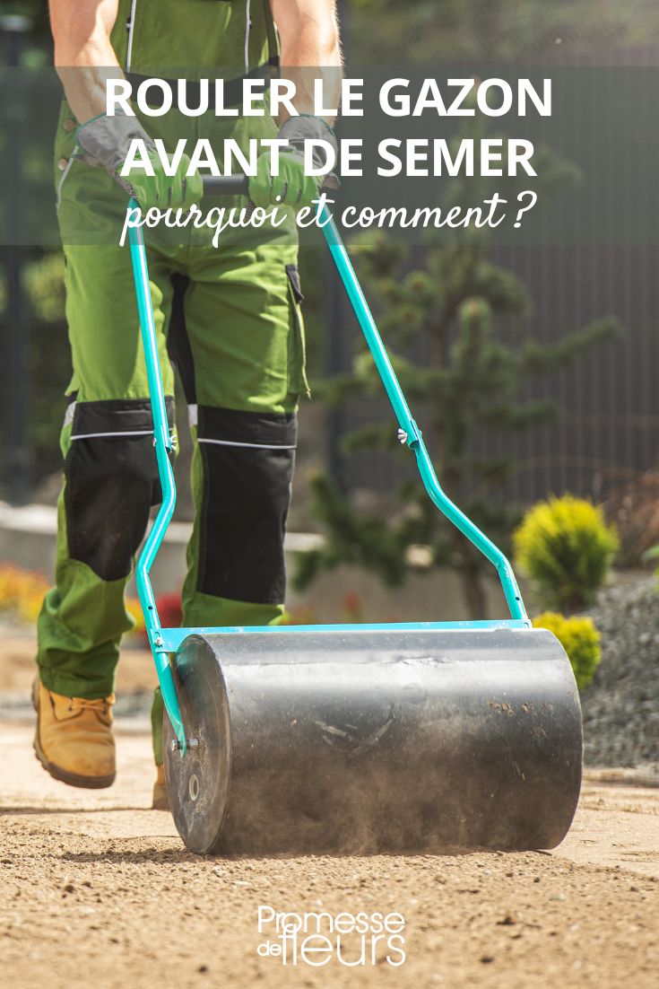 sowing a short grass meadow