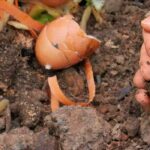 How can I speed up compost decomposition?