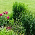 A beautiful flower bed from the very first year is possible!