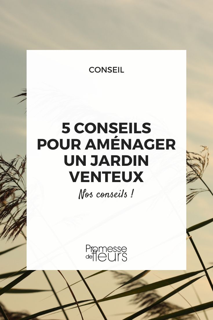 gardening in windy conditions