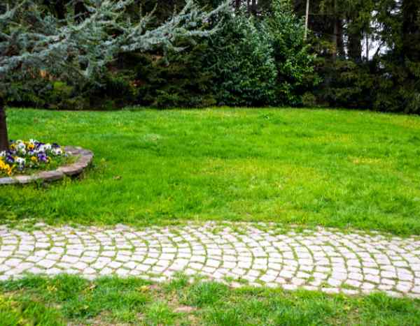 How to lay a garden path with paving stones?