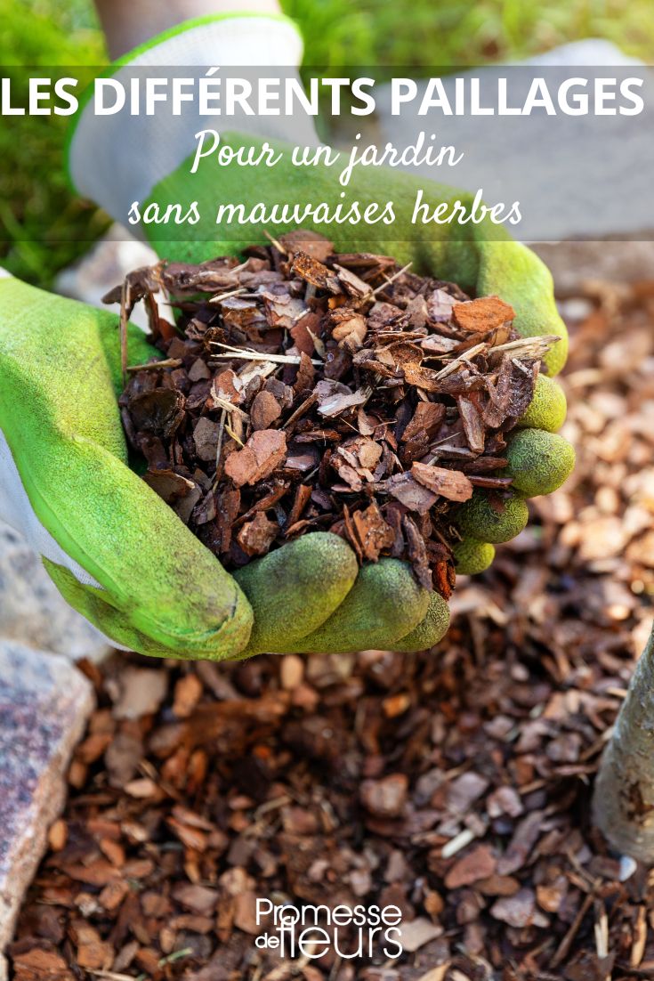 The different mulches for a weed-free garden Pine Bark and Other Mulching
