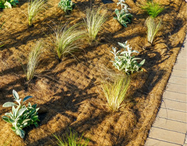 How to lay biodegradable mulching fabric?