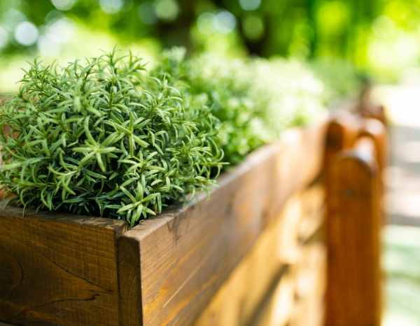 How to prepare a raised planter properly?