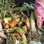 What waste should not go into the compost?