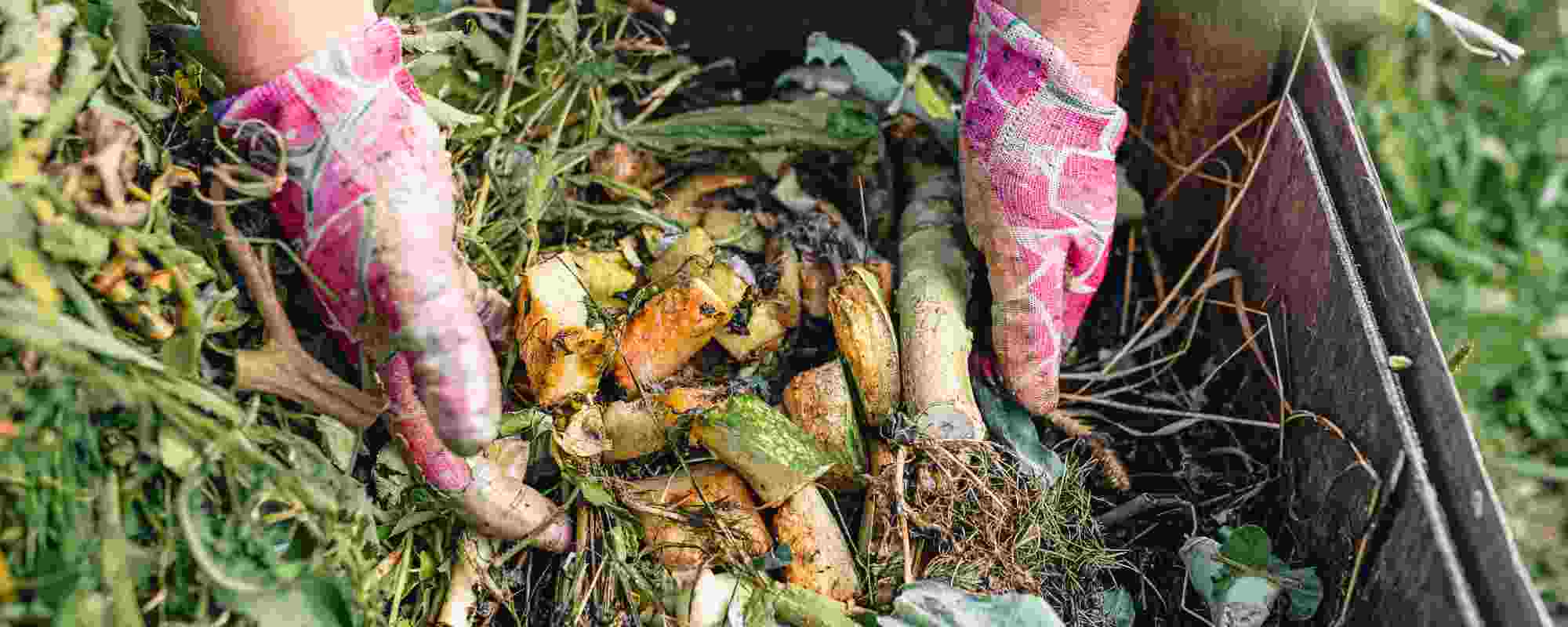 What waste should not go into the compost?
