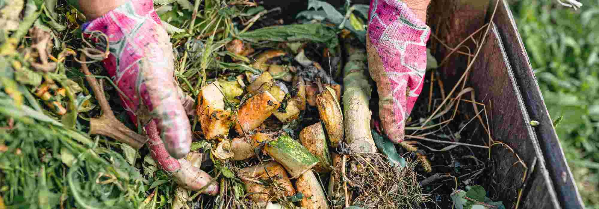 Organic waste: what can be composted?