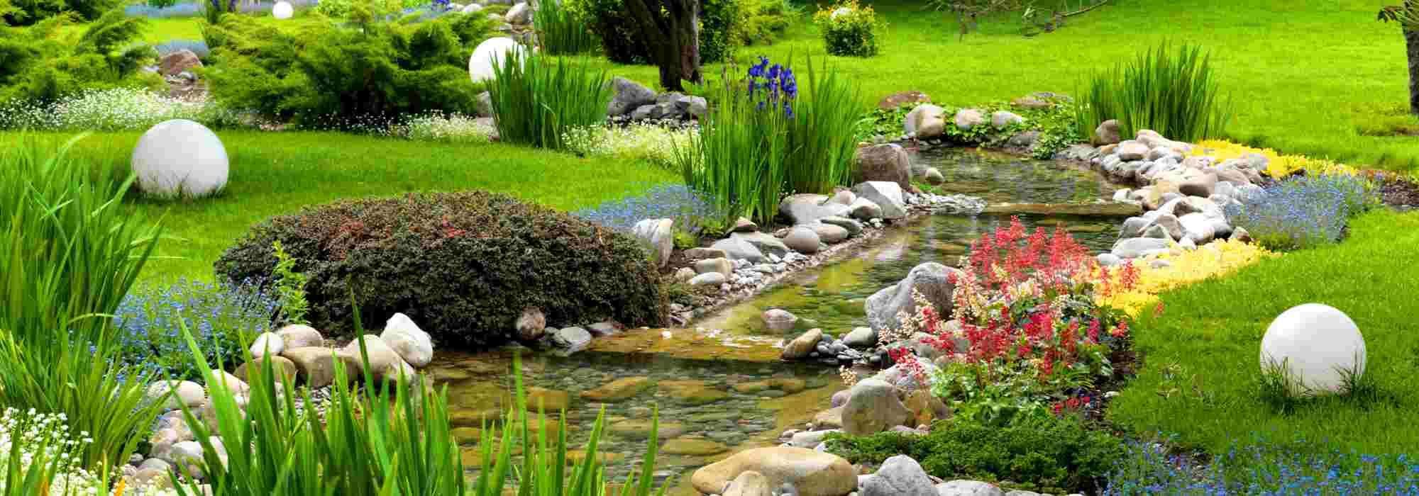 Maintaining a garden pond in spring