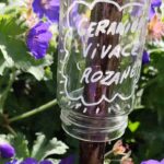 Eco-friendly gardening: how to make your own plant labels for the garden and the vegetable garden?