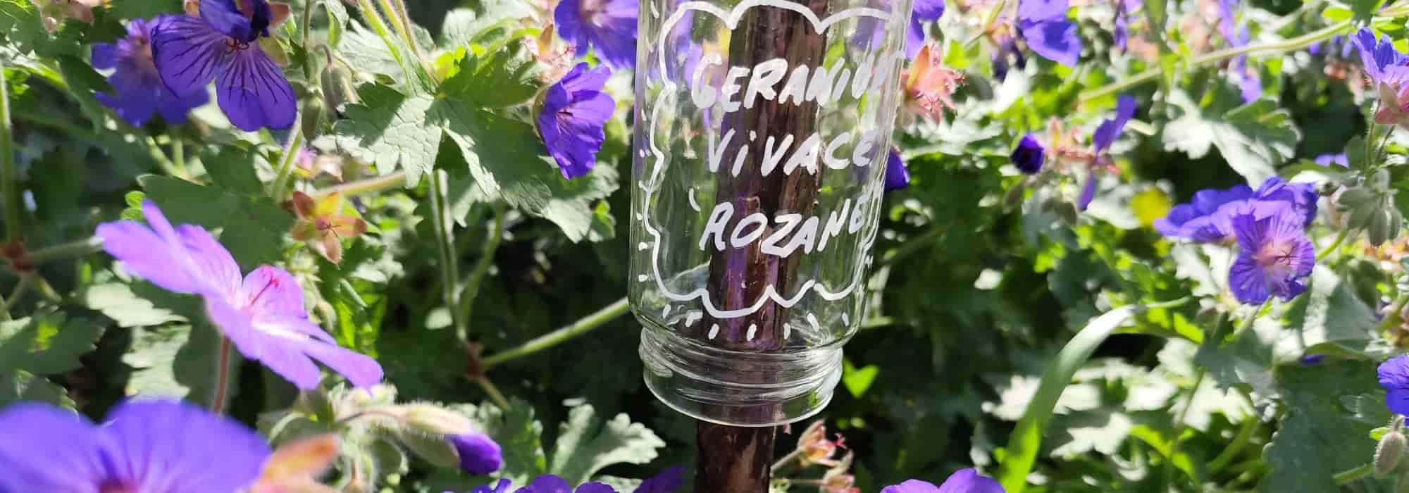 Eco-friendly gardening: how to make your own plant labels for the garden and the vegetable garden?