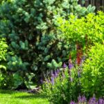 5 design tips for gardens in windy climates
