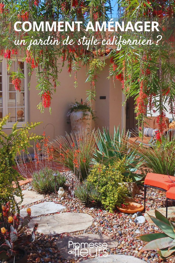Ideas and tips for a Californian garden