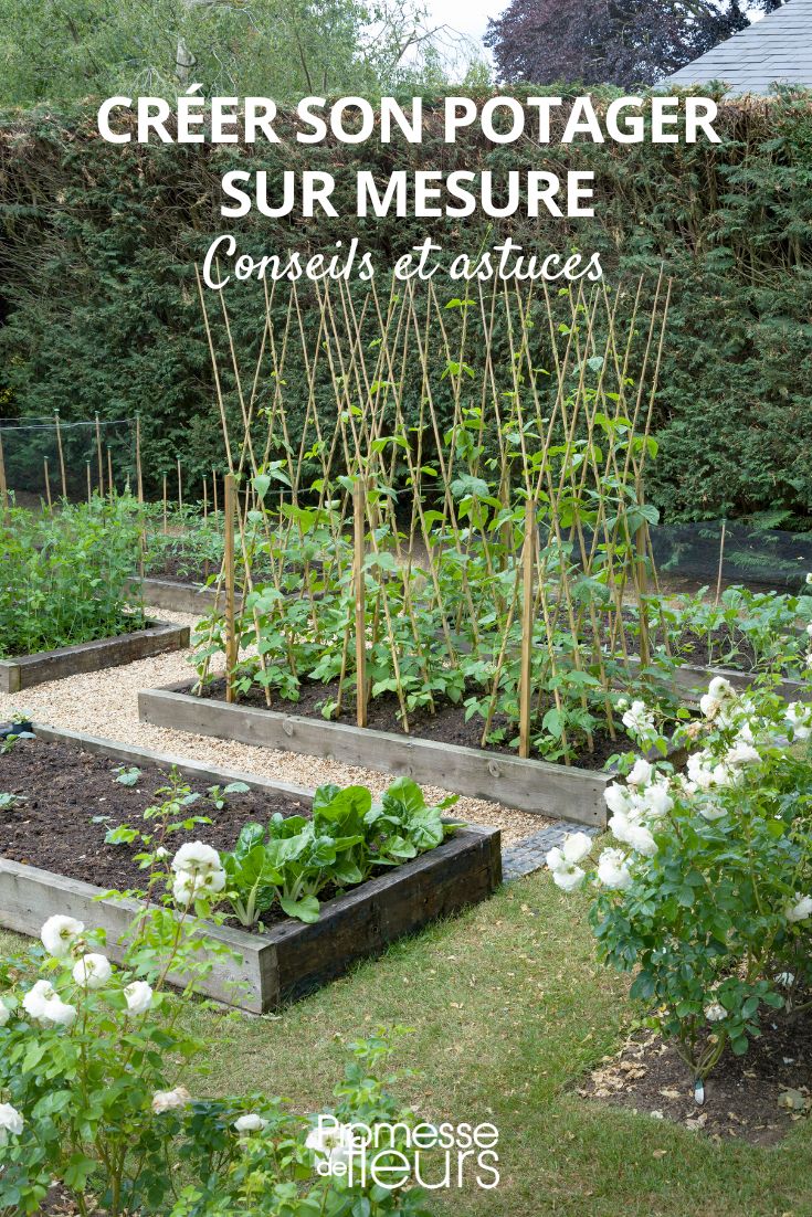A Tailor-Made Vegetable Garden