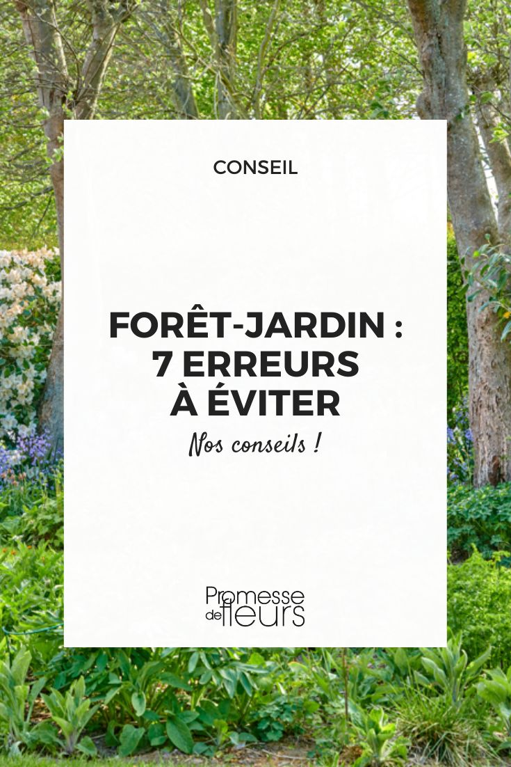 forest garden our tips