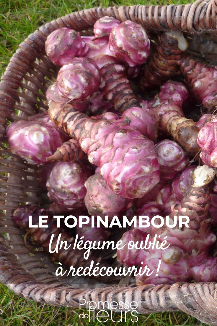 Sorry, but there is no text to translate.