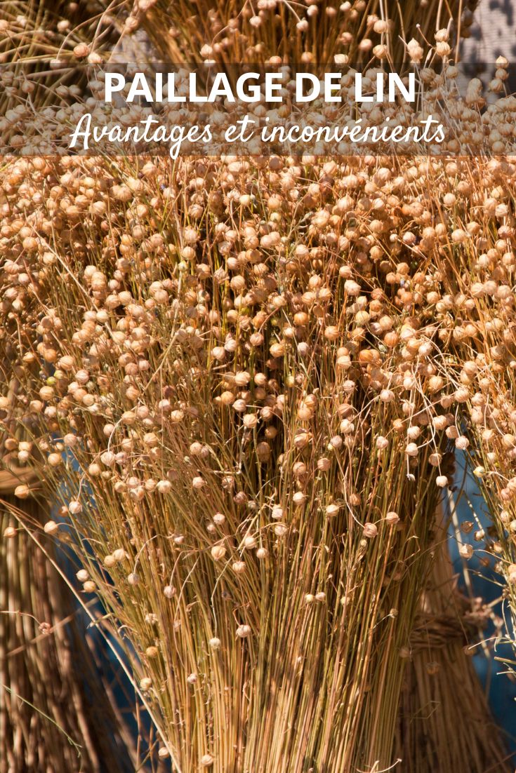 Why Choose Flax Mulch for Your Garden lin mulch