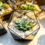 DIY: how to create mini terrariums with succulent plants for your wedding guests?