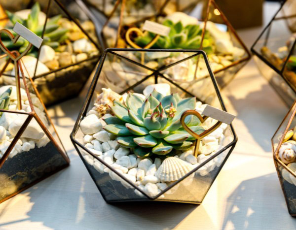 DIY: how to create mini terrariums with succulent plants for your wedding guests?