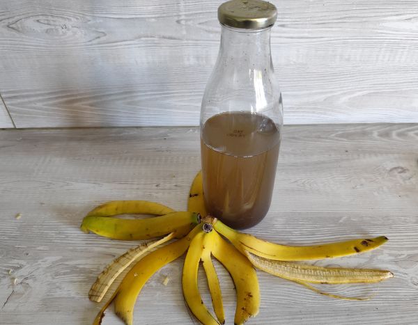 How to make banana peel manure?