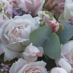 The best roses for enchanting and fragrant cut flower arrangements
