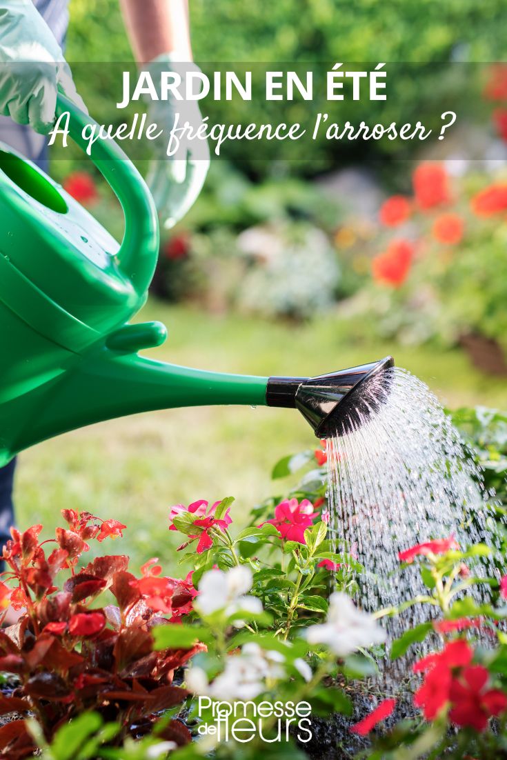 Watering Can and Summer Garden