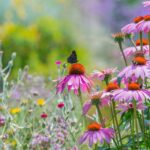 A resplendent summer garden: our design tips