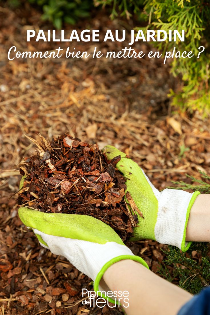Garden Mulch Thickness