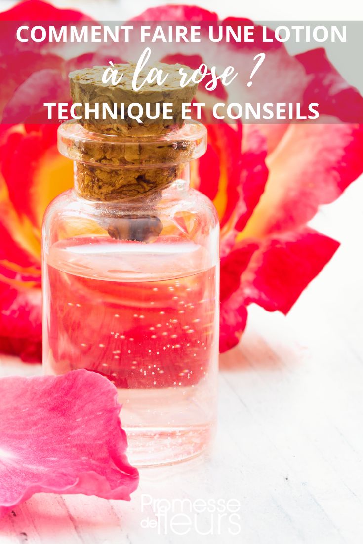Water and rose lotion