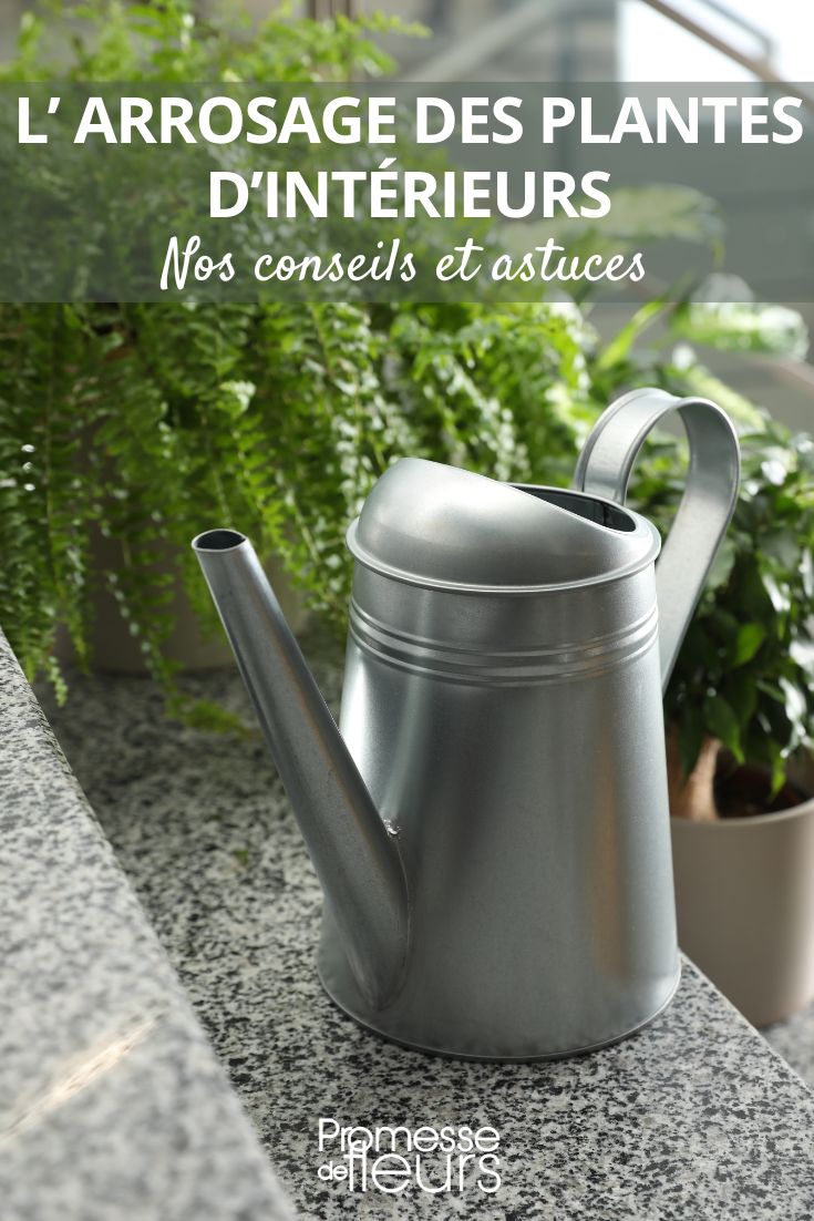 Watering indoor potted plants