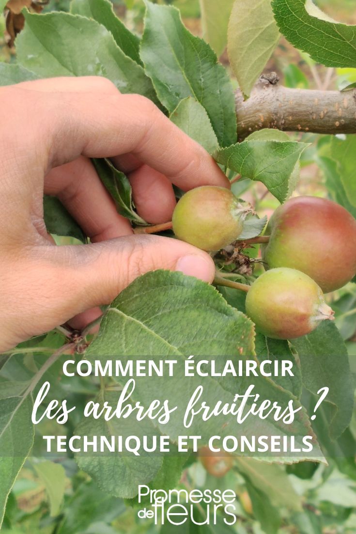 Why Remove Certain Fruits