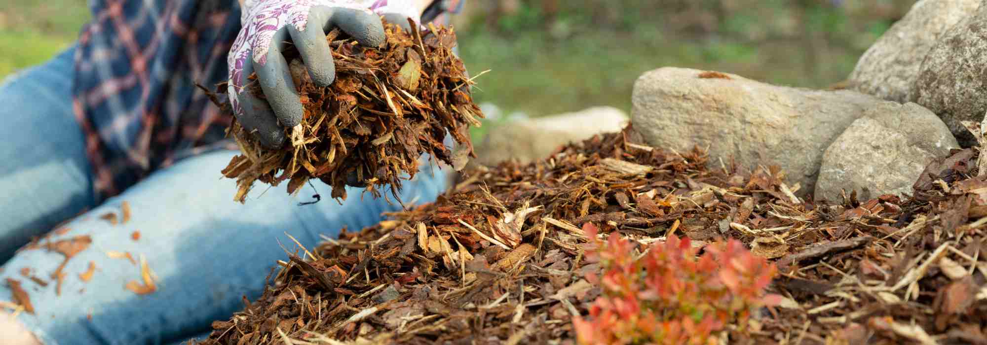 How to lay mulch properly?