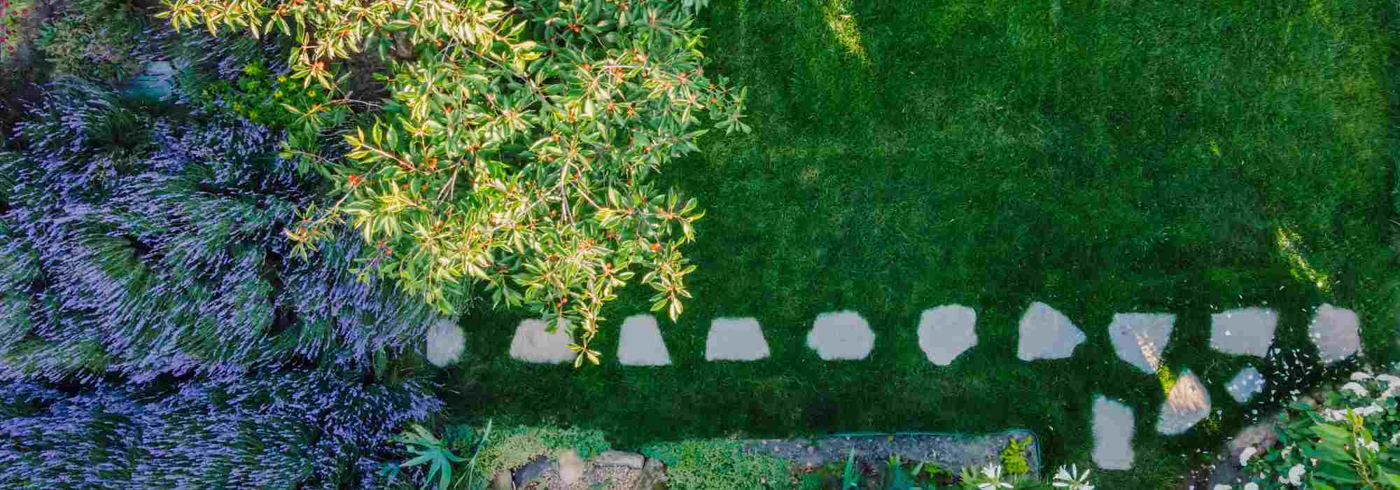 First garden: our tips to start