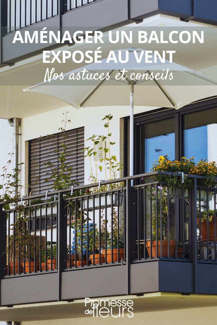Choosing Plants for a Windy Balcony

If your balcony is exposed to strong winds, it's important to select plants that can withstand these conditions. Here are some suggestions for windy balconies:

1. **Shrubs**:
   - **Hebe**: These hardy shrubs are perfect for windy balconies.
   - **Escallonia**: With its evergreen foliage, Escallonia can thrive in windy conditions.

2. **Grasses**:
   - **Festuca**: Festuca grasses are resilient and can add a touch of elegance to your balcony.
   - **Pennisetum**: Also known as Fountain Grass, Pennisetum is a great choice for windy spots.

3. **Perennials**:
   - **Lavender**: This fragrant plant is not only beautiful but also quite tolerant of windy conditions.
   - **Sedum**: Sedums are low-maintenance plants that can thrive in windy environments.

4. **Herbs**:
   - **Rosemary**: Aromatic and drought-tolerant, Rosemary is a great choice for a windy balcony.
   - **Thyme**: Thyme is a hardy herb that can withstand windy conditions.

5. **Bulbs**:
   - **Alliums**: These striking flowers are not only beautiful but also resilient in windy weather.
   - **Daffodils**: Daffodils can brighten up your balcony and are well-suited for windy locations.

By choosing the right plants, you can create a beautiful and thriving balcony garden, even in windy conditions.