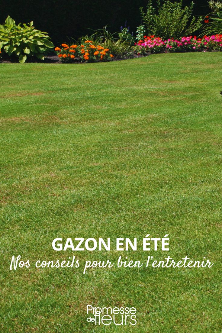 Lawn Care in the Summer Months