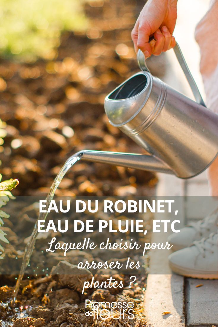 Choose the watering water.