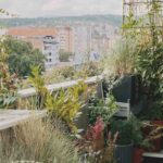 How to design a north-facing balcony?