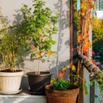 Our tips for making the most of an east-facing balcony.