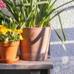 Our tips for optimising a west-facing balcony