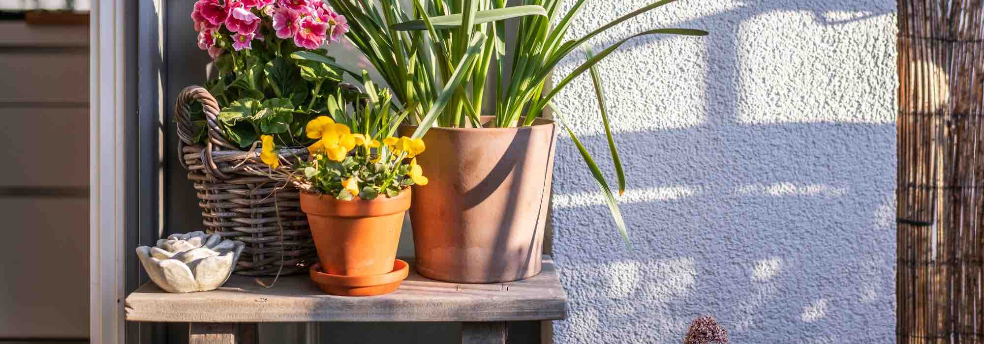Our tips for optimising a west-facing balcony