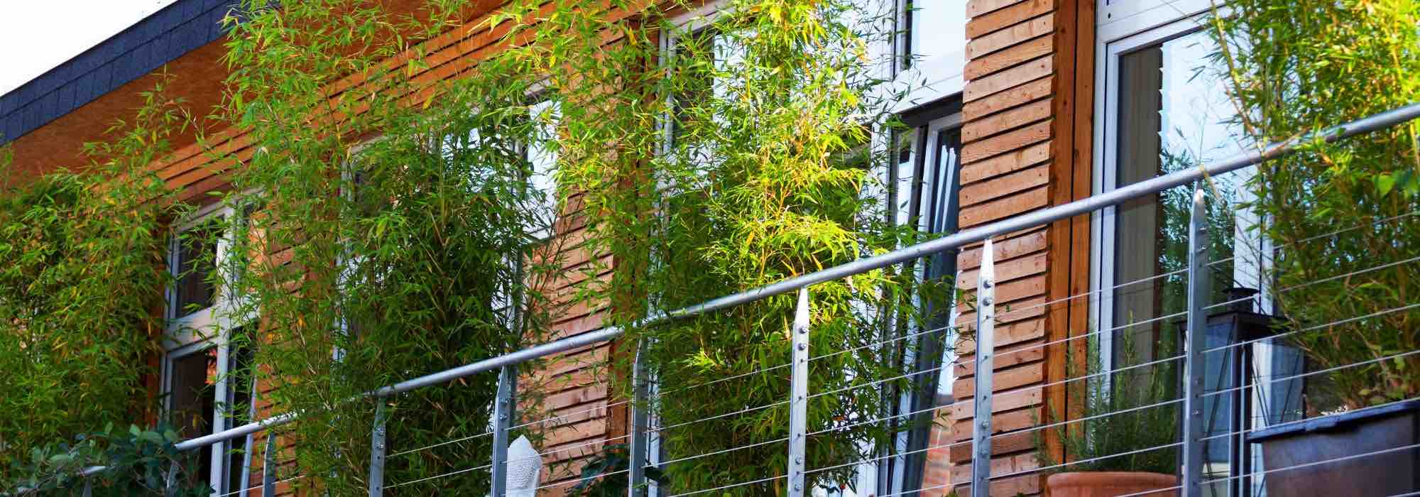 Designing ideas for a wind-exposed balcony