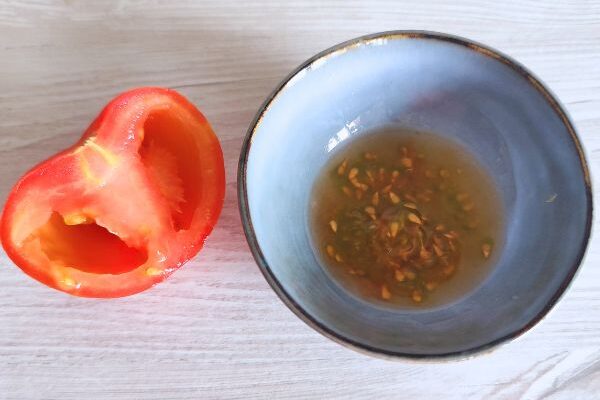 How to harvest and store your tomato seeds?