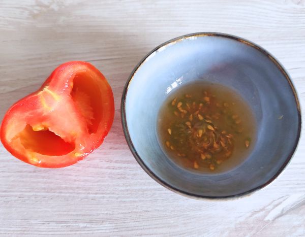 How to harvest and store your tomato seeds?