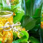 Fresh lime tree: a natural ally with multiple uses