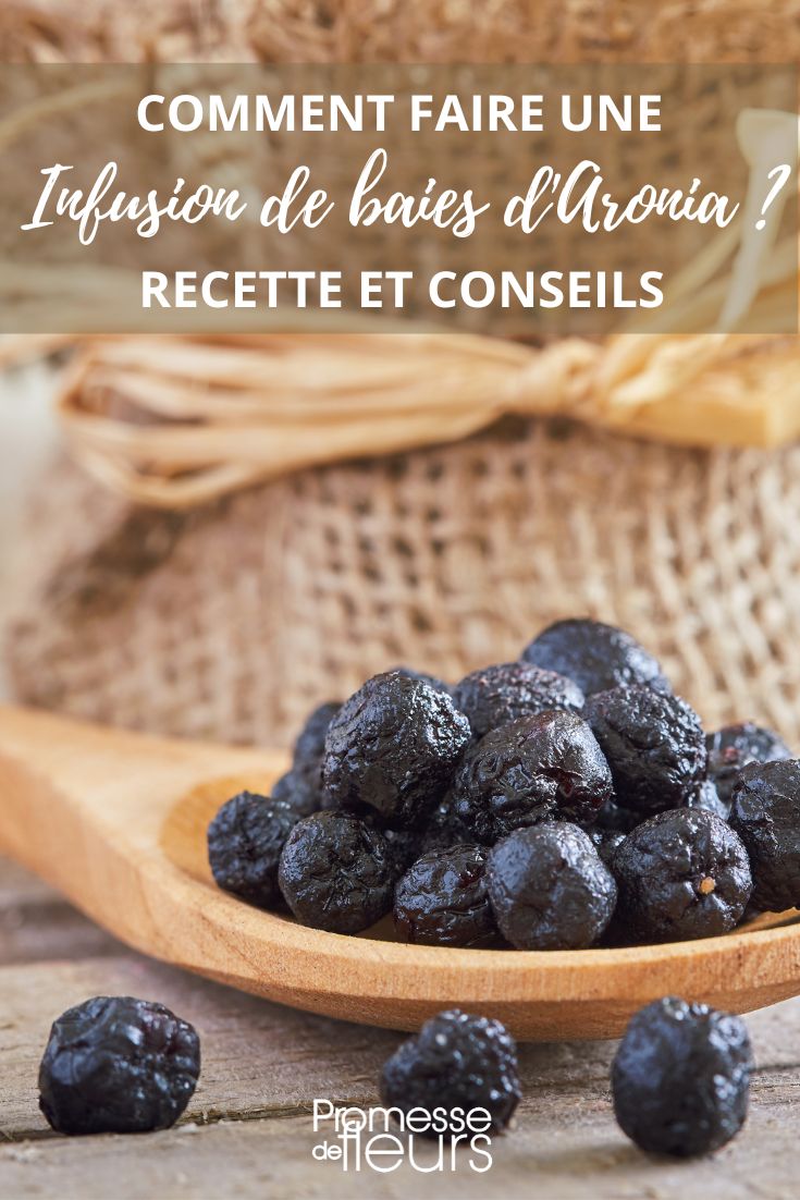 aronia herbal tea